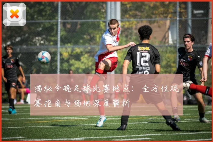 揭秘今晚足球比赛地点：全方位观赛指南与场地深度解析