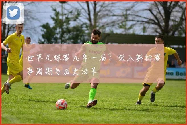 世界足球赛几年一届？深入解析赛事周期与历史沿革