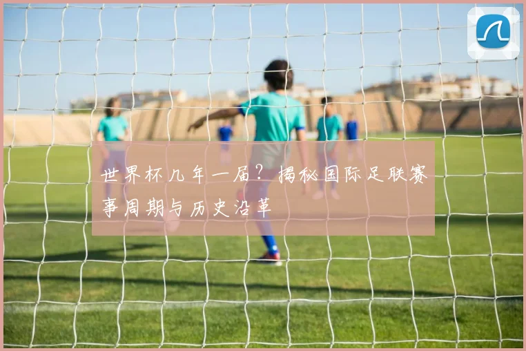 世界杯几年一届？揭秘国际足联赛事周期与历史沿革