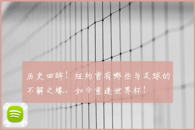 历史回眸！纽约曾有哪些与足球的不解之缘，如今重逢世界杯！